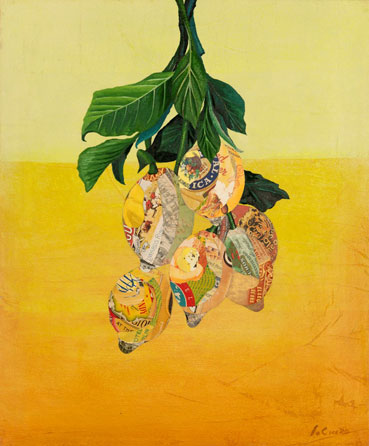 Italian Lemons, Oil on Canvas with Collage, 24” x 20”, 2018. Private Collection, Seattle WA